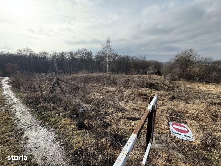 De vanzare doua parcele de 3752 mp impreuna- zona Faget - 1