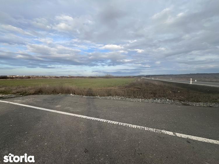 Teren 7481 mp, cu acces facil la Inelul Metropolitan - 7