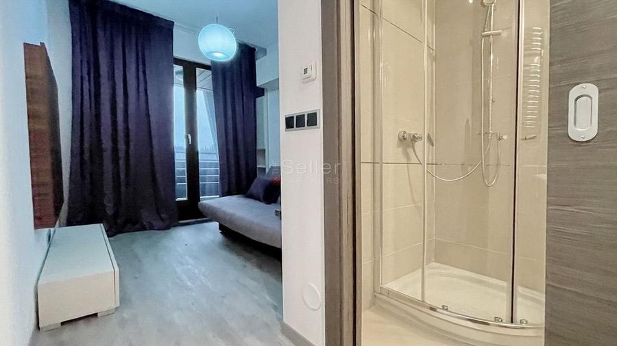 Complex Silver Mountain - 15