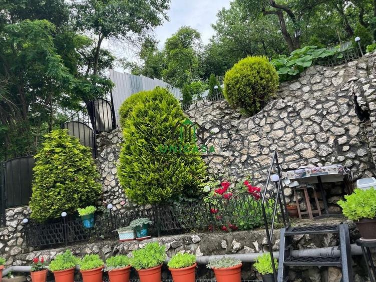 Casa P+1 / Stirbei Voda - 21