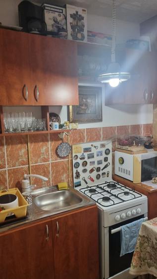 Garsoniera zona Restaurant Lintz ( Str. Eminescu) - 7