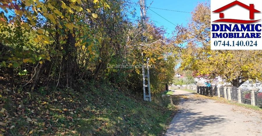 3600 mp teren intravilan, sat Bistrita, 16 Euro/mp