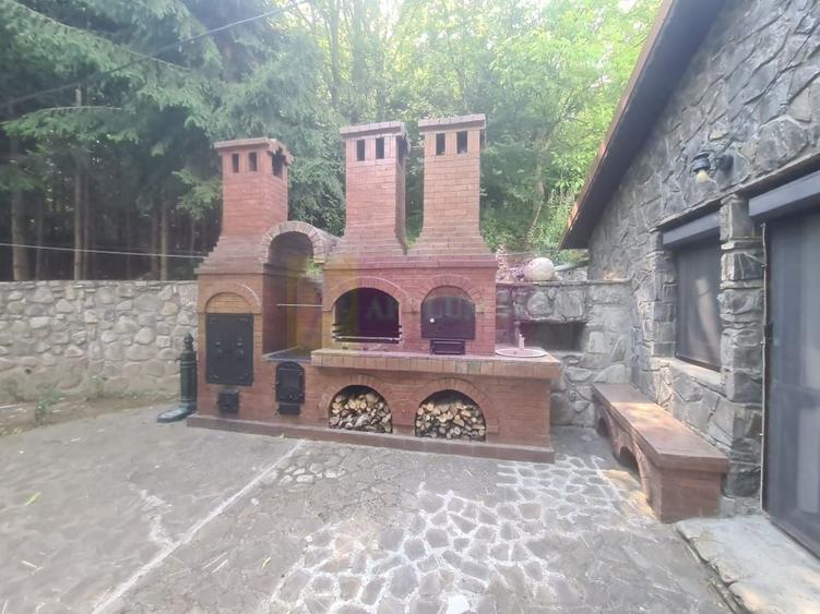 Vila de vanzare in Campina - Zona Lunca Mare - 3