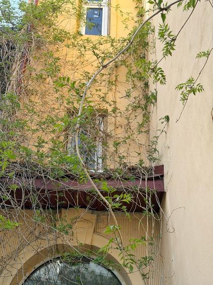 Investitie in Dorobanti - Vila cu balcoane frantuzesti - Structura din beton - 10