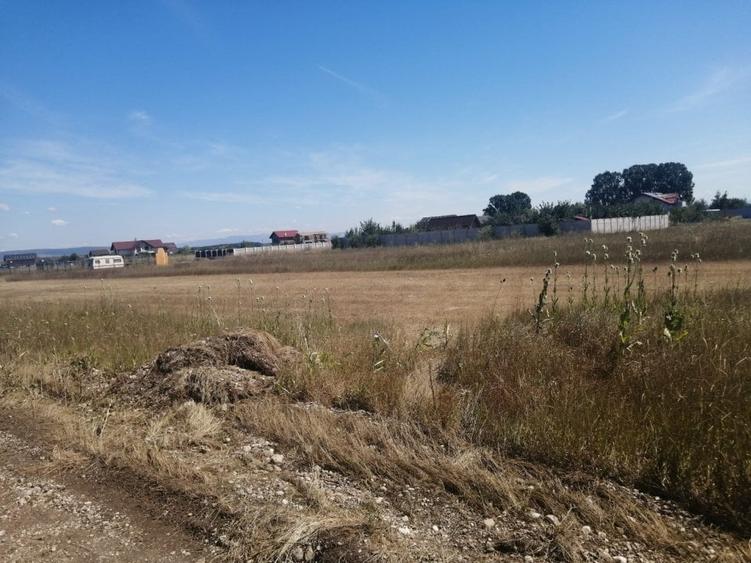 Teren de vanzare Harman. - 1