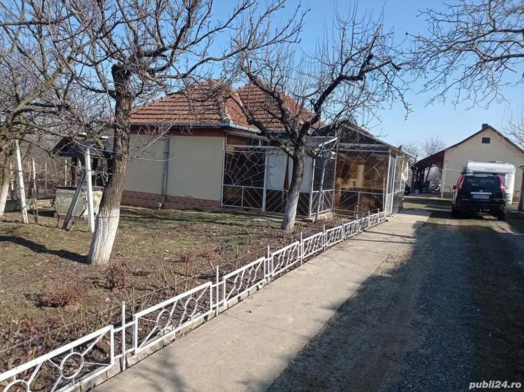 Casa locuibila, cu vie ?i livada - 3