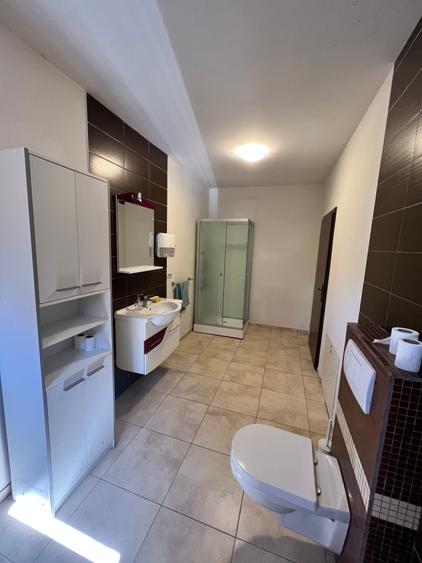 Cetatii -- Casa de inchirat - pretabil rezidential sau birouri - garaj - 14