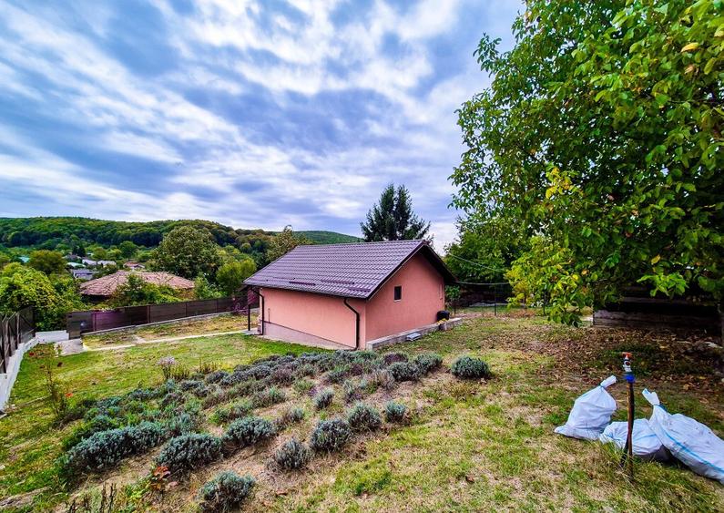 Casa , teren intravilan Valea Mare Stefanesti Arges - 2