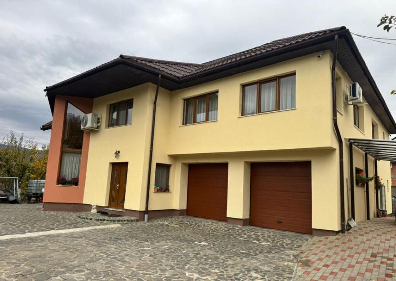 CASA DE VIS SAU AFACERE DE SUCCES BAIA SPRIE - 2