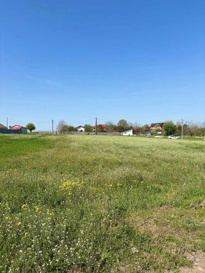 Vand teren Gostilele de 1960 mp intr-o zona linistita de pescuit sportiv - 4