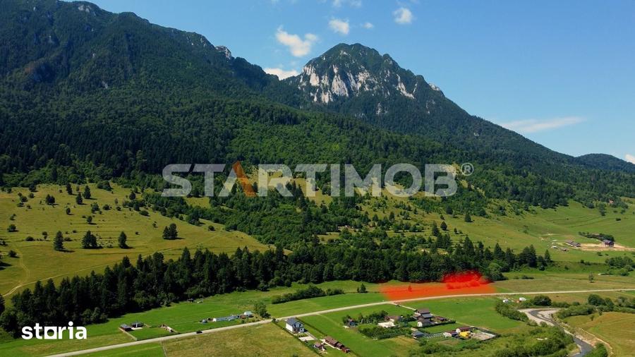 Teren de 7600 mp, în Plaiul Foii