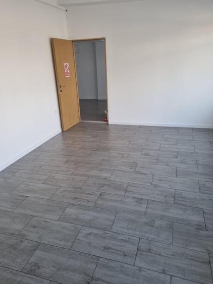 Spatiu Comercial  50 mp, Stradal, Malu Rosu - 3