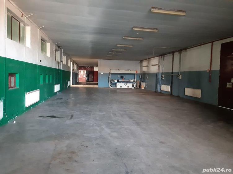Hala 4.000 mp si apartament 120 mp GRATIS cumperi doar terenul de 18.500 mp - 7