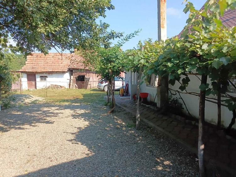 Casa de vanzare cu curte,gradina 2500mp - 2