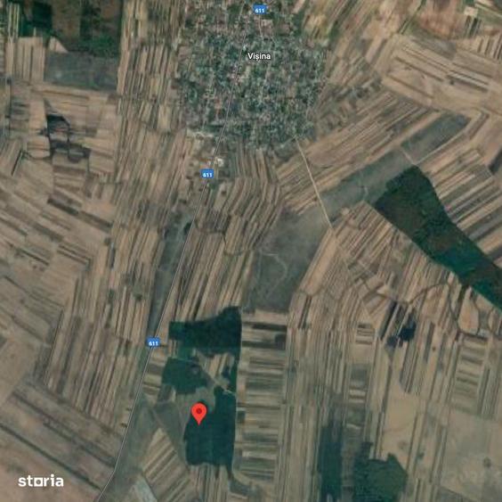 EXCLUSIVITATE: 20.000 mp teren impadurit langa Vi?ina, Dambovi?a - 3