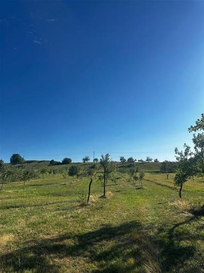 Reco Casa cu teren in Budureasa, langa Stana de Vale - 5