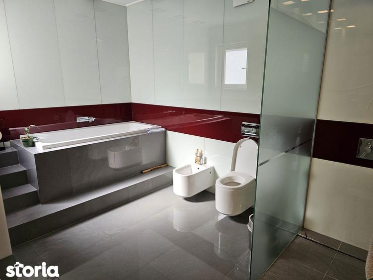 Herastrau-3/3-penthouse, 400 mp, lift privat, terase 260 mp, parcare - 12