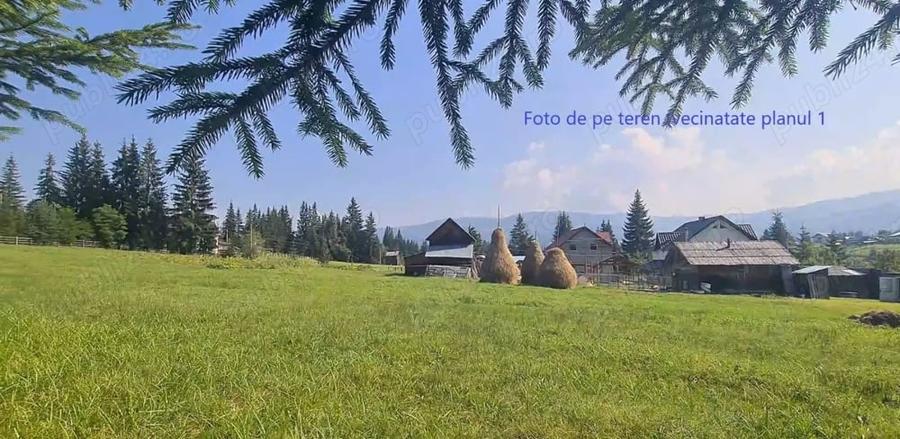 Teren de 6450 mp, în Neagra