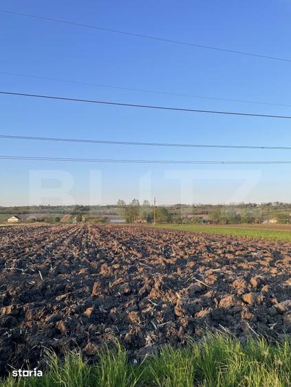 Teren Intravilan - 3600mp - Forasti, Falticeni - 1