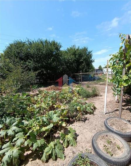 Casa de vacanta, Cazasu cu suprafata generoasa teren 824mp - 8