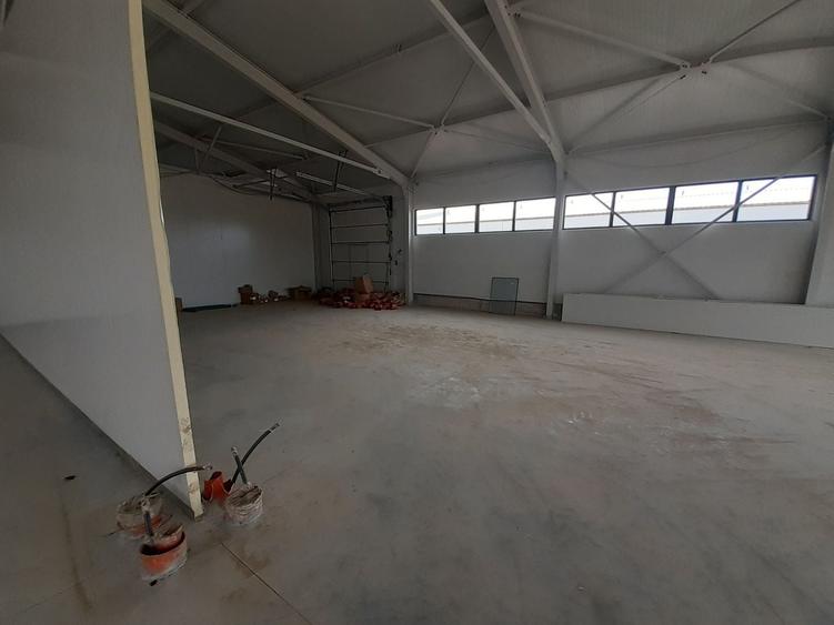 Hale cu suprafete intre 100-560mp in zona Drumul Intre Tarlale - 2