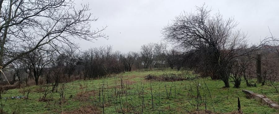 Teren Intravilan Draganesti-Olt 1649mp - 2