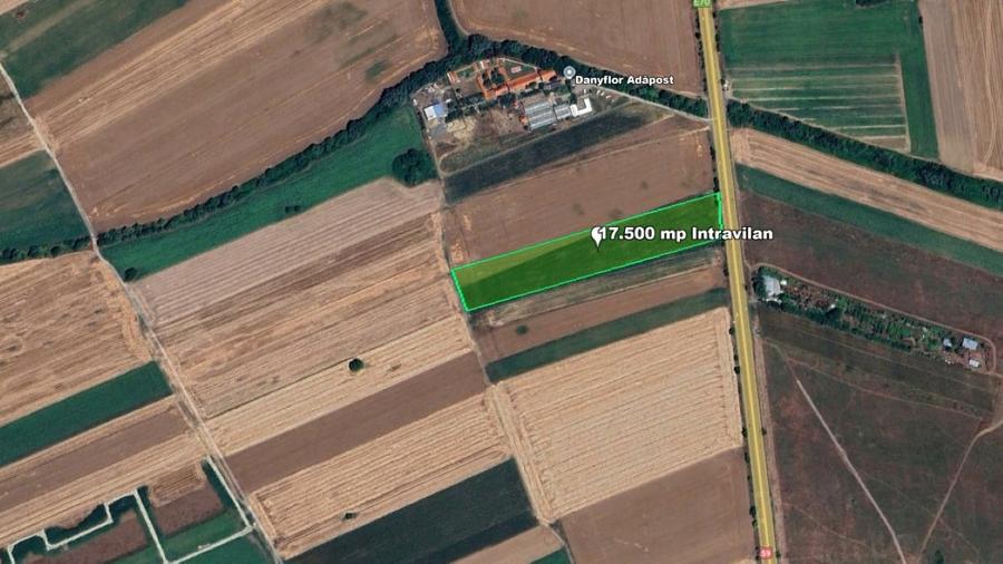 Extravilan, 17500 mp, Sag, Timis, DN69 - 2