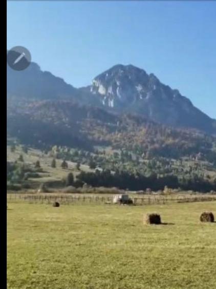 Teren intravilan - 4