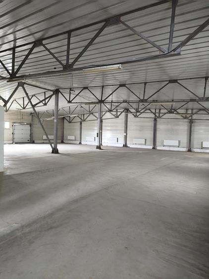 Hala 921 mp Jilava str. centurii Nr 1 - 9