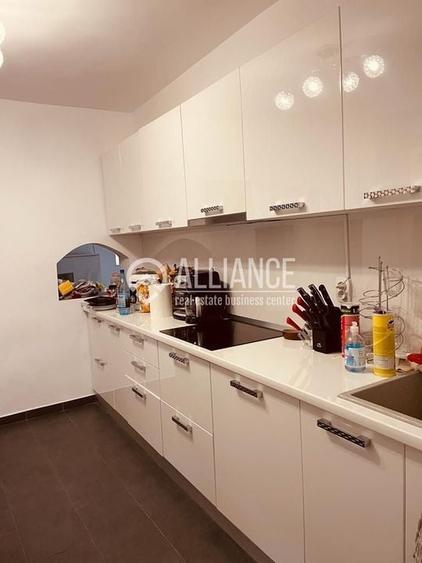 Vila deosebita Kamsas-Baba Novac (COD 08) - 9