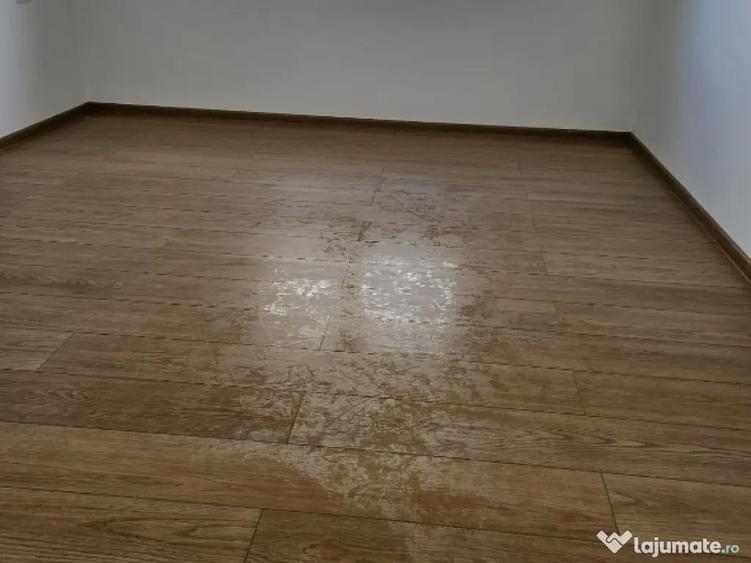 Vand duplex Mosnita Noua, Timis - 5