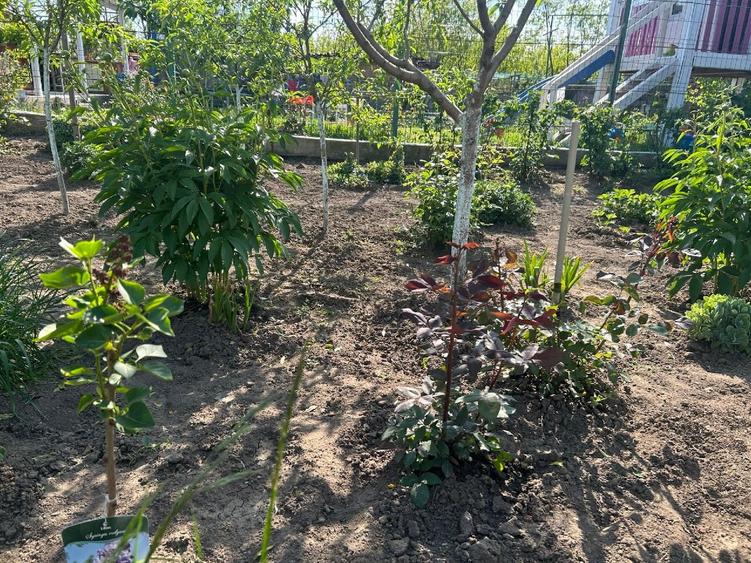 Casa pe structura metalica - 9