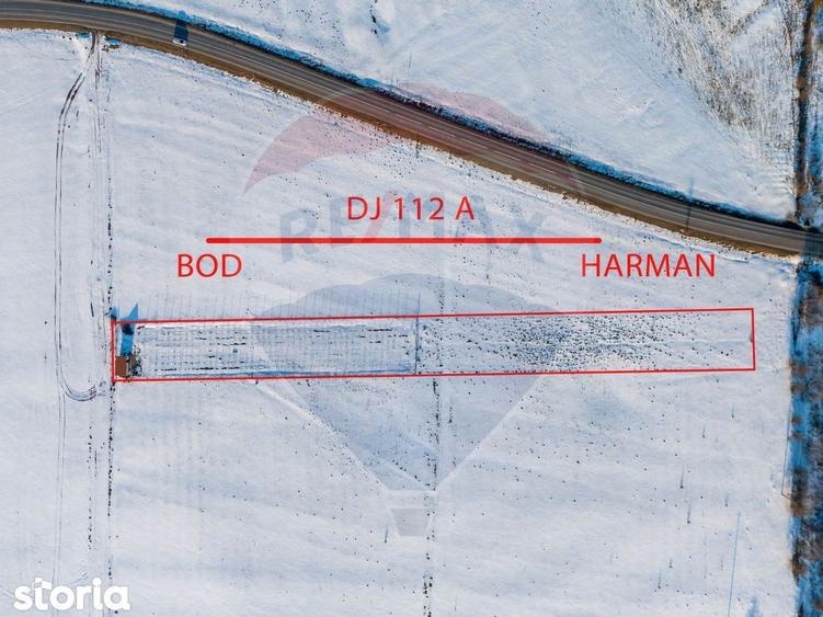 PLANTATIE ARONIA- TEREN AGRICOL - 7