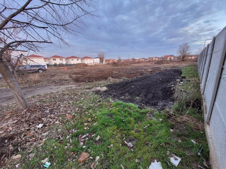 Proiect cu autorizatie 21 case, Sos Cernica, Lebada Lac, 5036 mp teren - 9