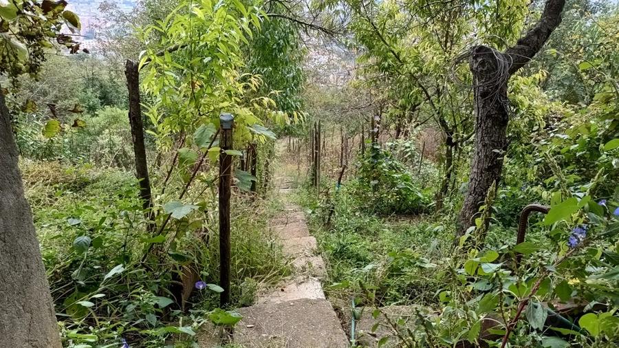 Vand casa la Platoul Cornesti. Nu doresc colab. cu Agentie imobiliara - 8