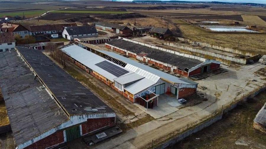 Ansamblu agrozootehnic cu renume,dotat +valoare exceptionala+potential versatil, - 34