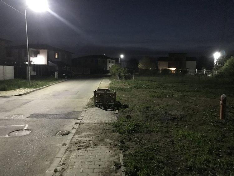 Teren + Proiect cu autorizatie Chitila lac cu Nuferi ( Rezidential ) - 5