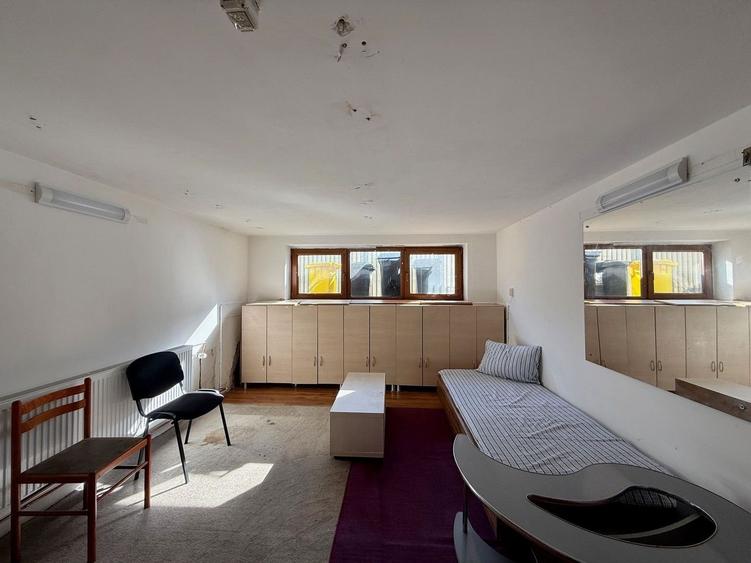 Casă individuală de vânzare în Timișoara, zona Telegrafului - 11