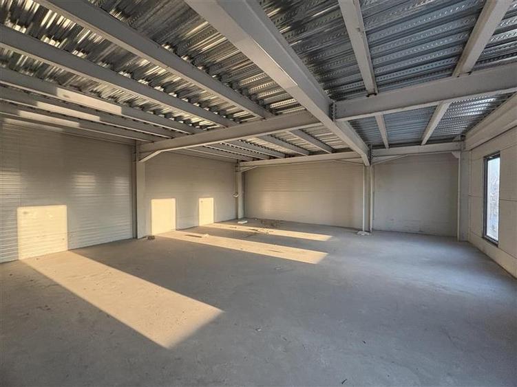 Vanzare depozit/hala/spatiu industrial Mogosoaia - Centura - 6