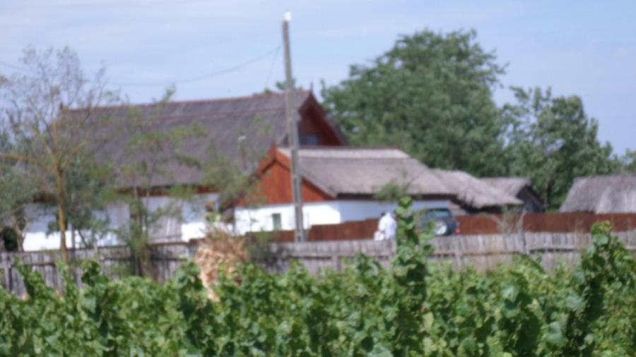 DELTA DUNARII, BIOSFERA, LETEA, Proprietate de VIS!  proprietar, - 15