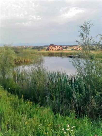 Film & Tur LIVE! Rafinament in cartier linistit, pe 30.000 mp teren paradis, fac - 42