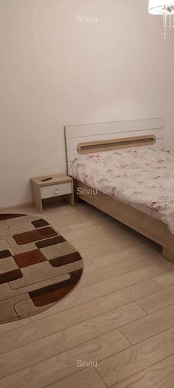 garsoniera ozana-centrala proprie - 1