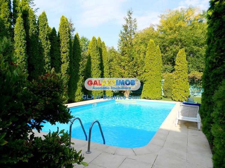 Vila splendida, o reala oaza de liniste intre lacul si padurea SNAGOV - 3