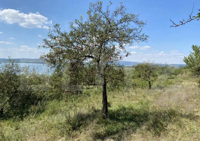 Teren extravilan in apropierea lacului Varsolt in suparfata - 4