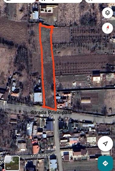 Teren intravilan comuna Milcov, sat Milcovu din Deal, judetul Olt - 6
