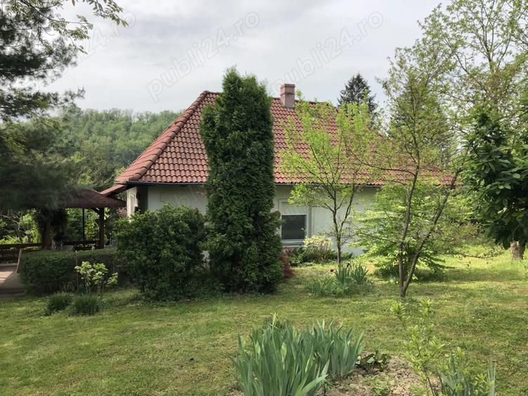 Casa de vanzare langa Castelul Regal Savarsin - 4
