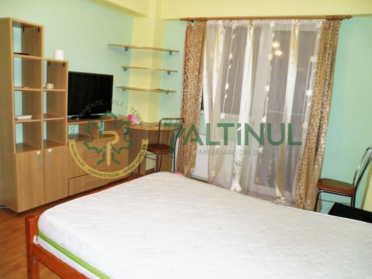 Apartament cu o camera de inchiriat  în zona Turnisor - 3