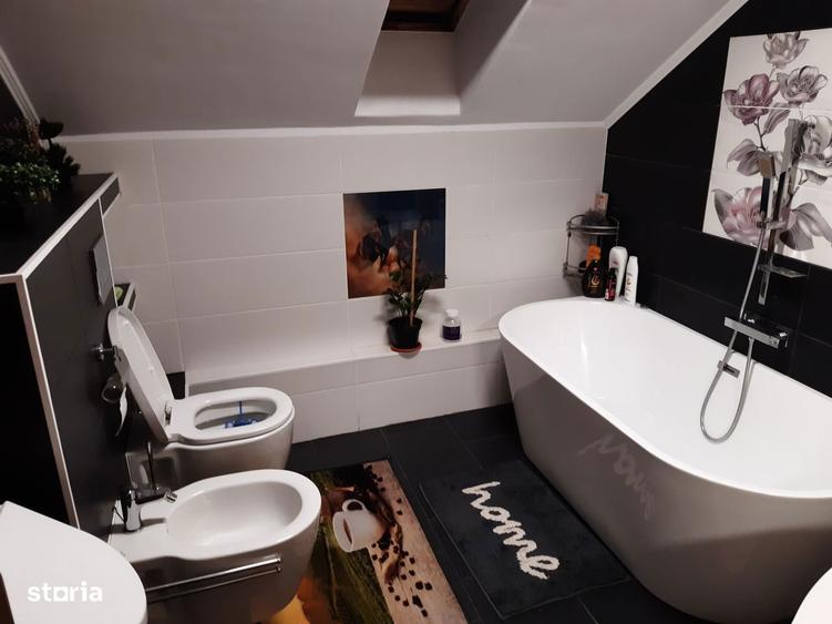 Casa 250 mp , P+M , 17 ari, Satu Nou de Jos , - 4