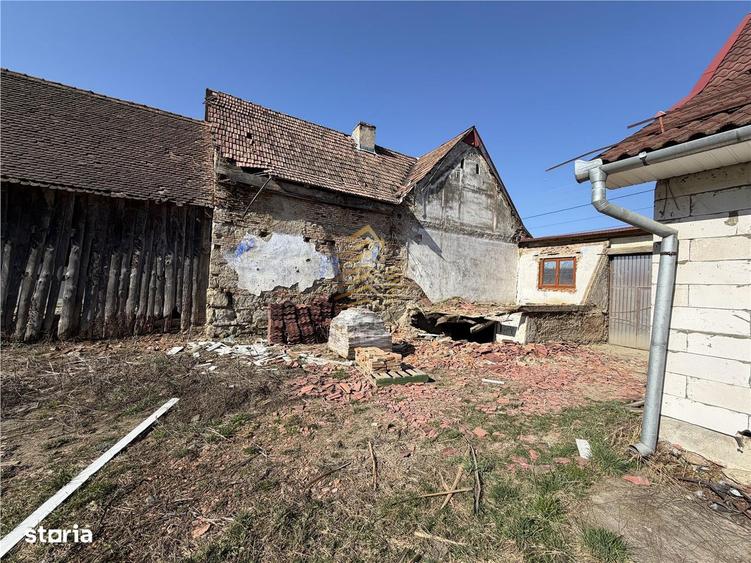 CASA CU 40 ARI INTRAVILAN - 6