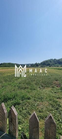 CASA LADESTI-VALCEA| RENOVATA SI MOBILATA| 5000 MP TEREN - 16